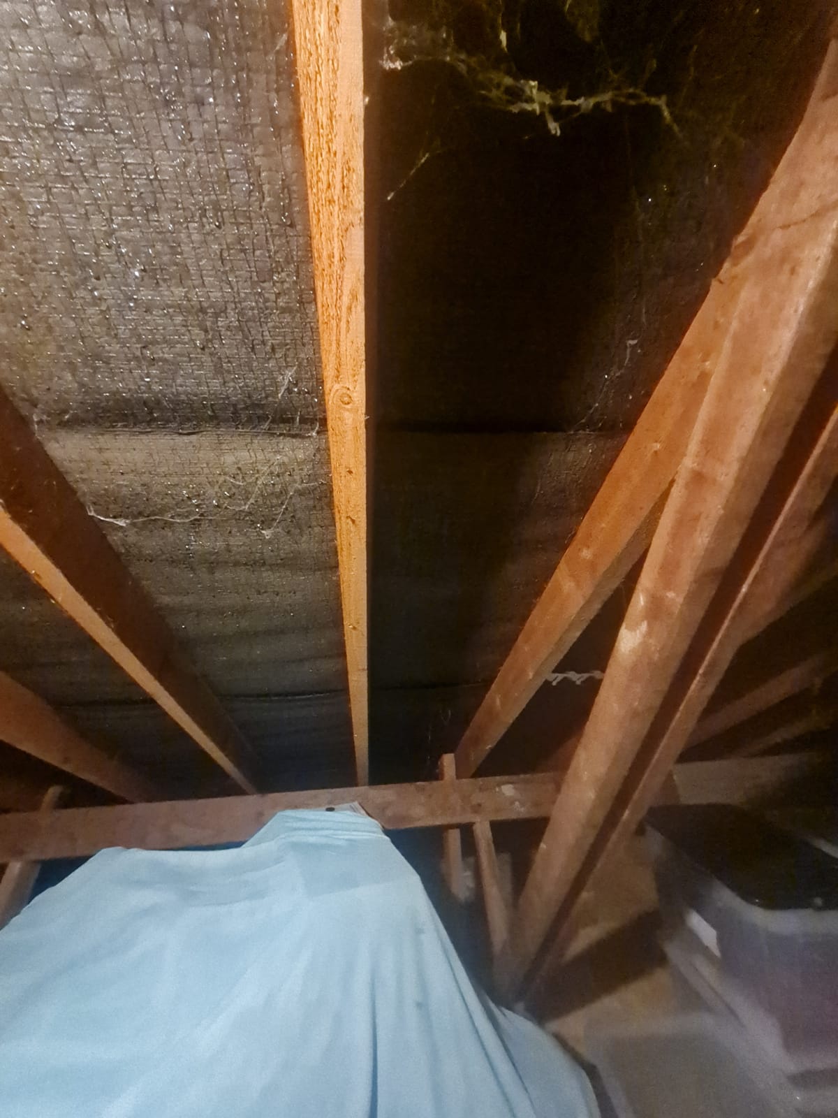 Condensation in the home