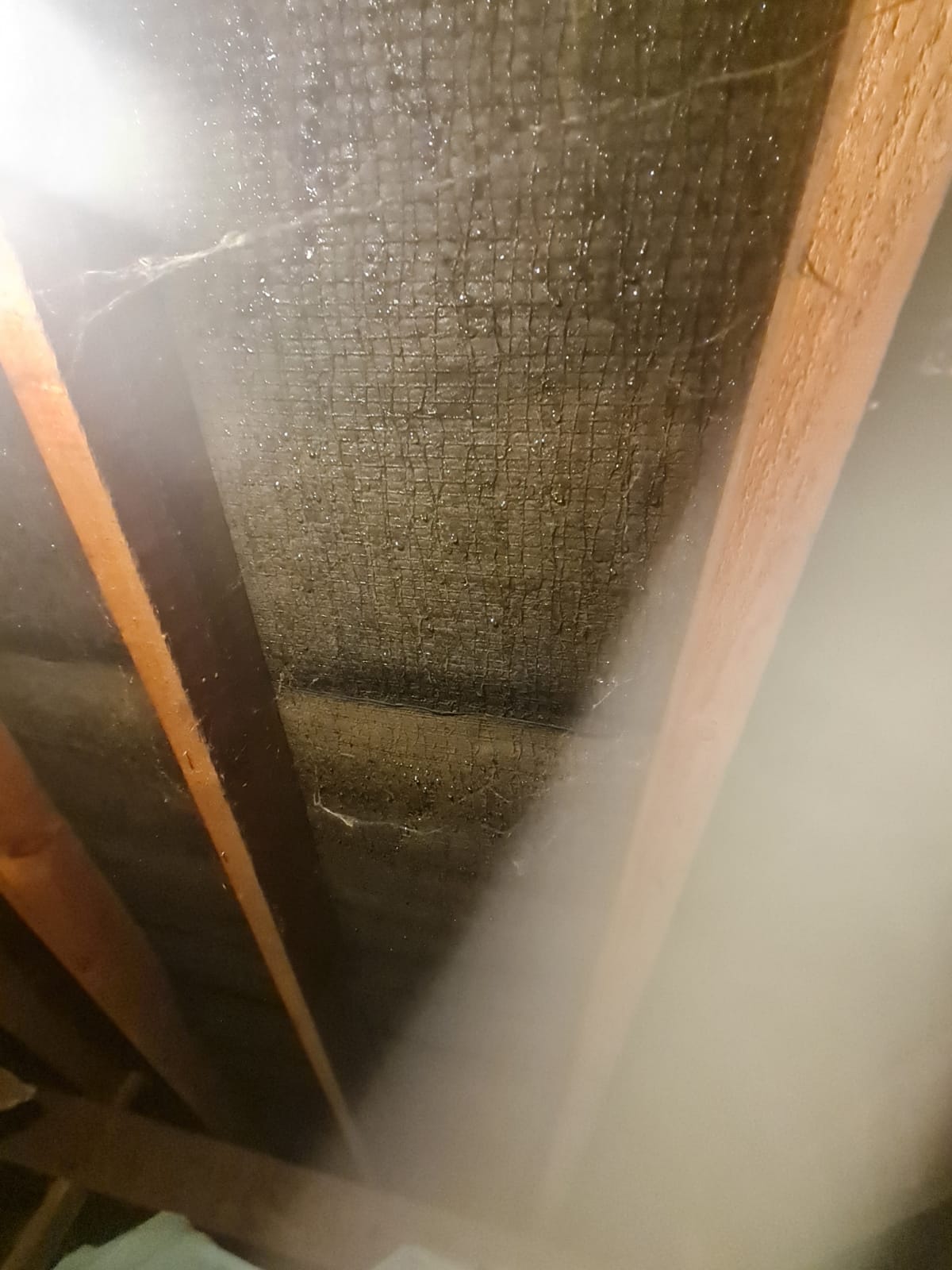 Condensation in the home